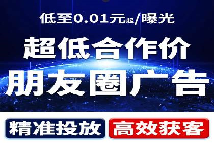 百度竞价广告运营全解析：成功案例揭秘